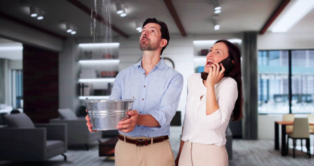 Best Carpet water damage restoration  in St Marys, GA